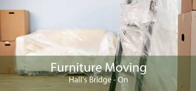 Furniture Moving Hall's Bridge - On