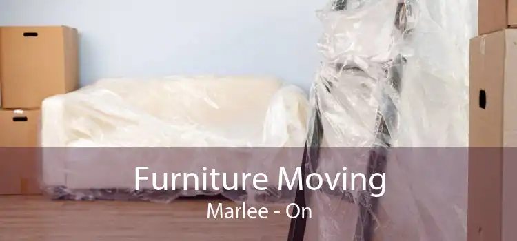 Furniture Moving Marlee - On
