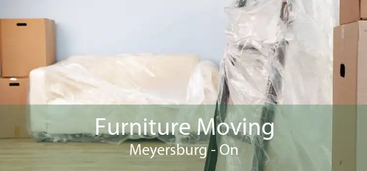 Furniture Moving Meyersburg - On