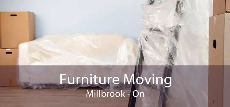 Furniture Moving Millbrook - On