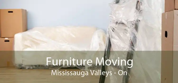 Furniture Moving Mississauga Valleys - On