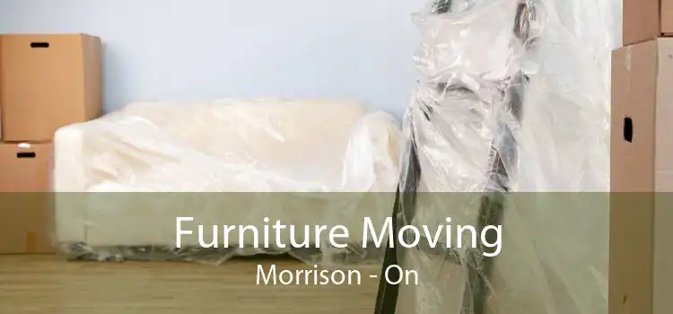 Furniture Moving Morrison - On