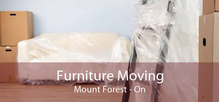 Furniture Moving Mount Forest - On