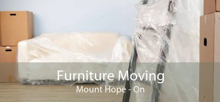 Furniture Moving Mount Hope - On
