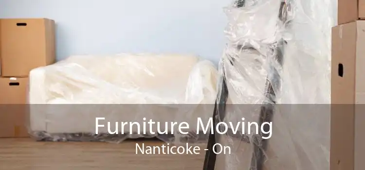 Furniture Moving Nanticoke - On