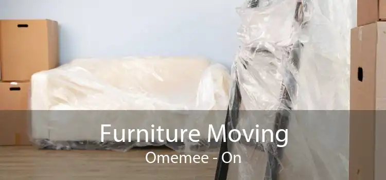 Furniture Moving Omemee - On