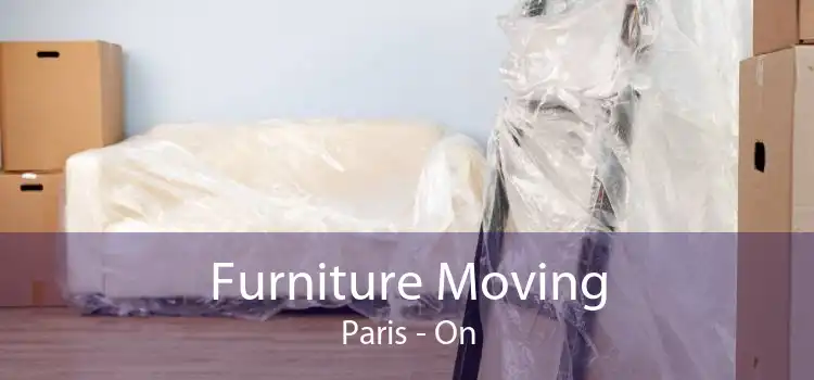 Furniture Moving Paris - On
