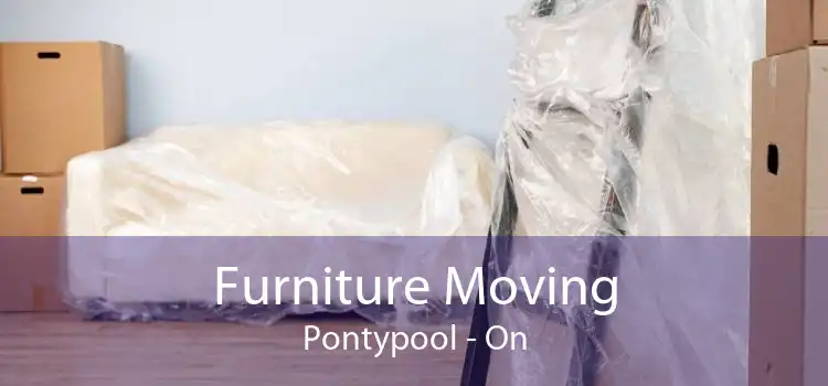 Furniture Moving Pontypool - On