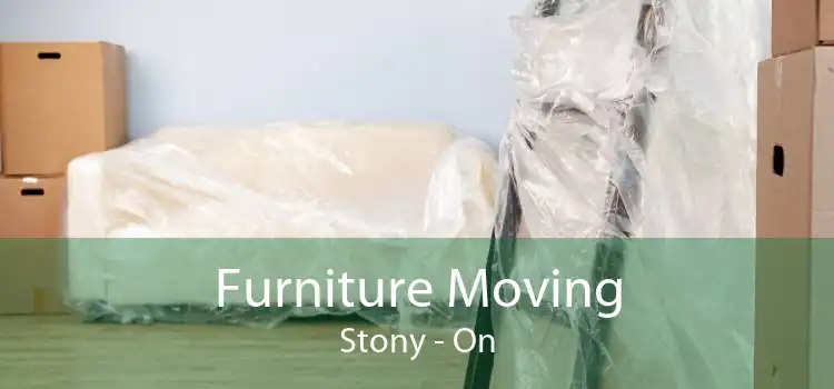 Furniture Moving Stony - On