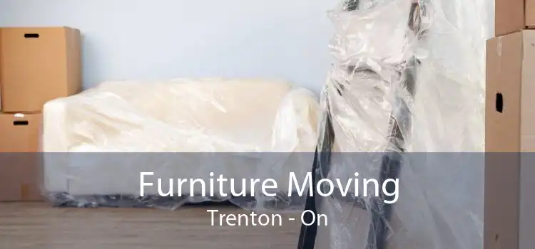 Furniture Moving Trenton - On