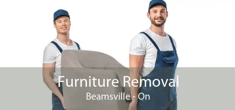 Furniture Removal Beamsville - On