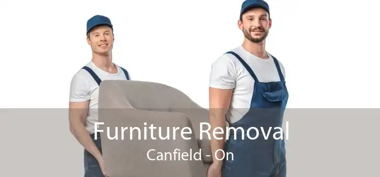 Furniture Removal Canfield - On