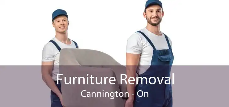 Furniture Removal Cannington - On