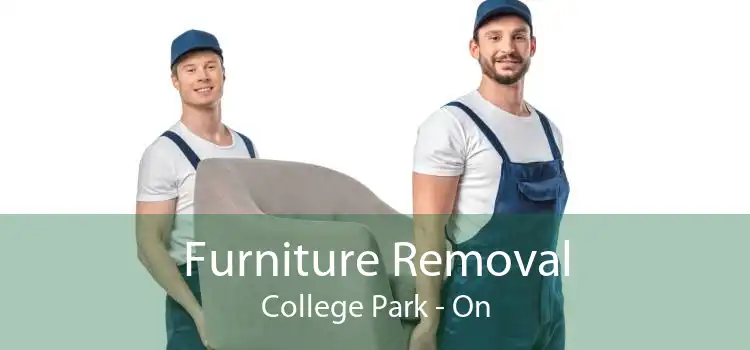 Furniture Removal College Park - On