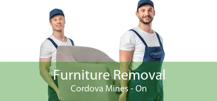 Furniture Removal Cordova Mines - On