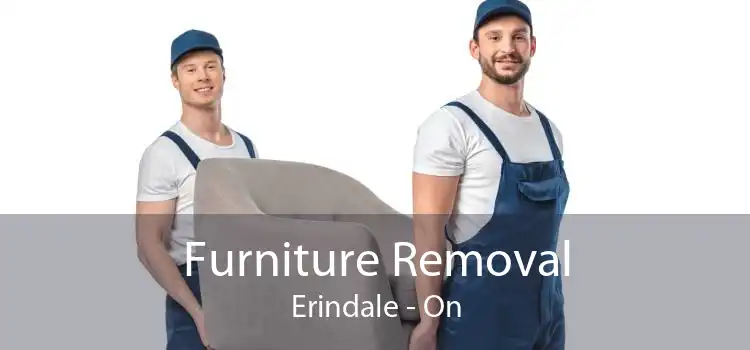 Furniture Removal Erindale - On
