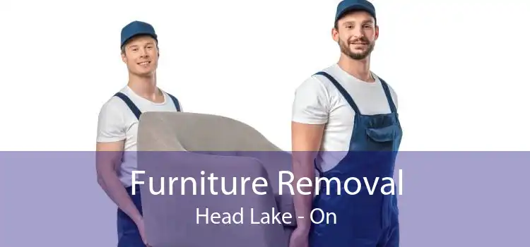 Furniture Removal Head Lake - On
