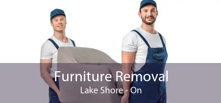Furniture Removal Lake Shore - On