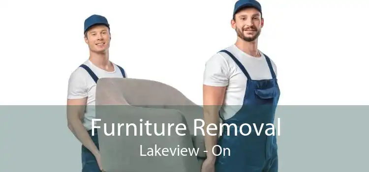 Furniture Removal Lakeview - On
