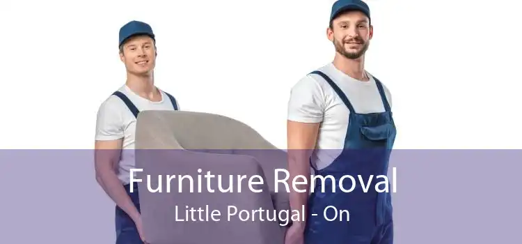 Furniture Removal Little Portugal - On