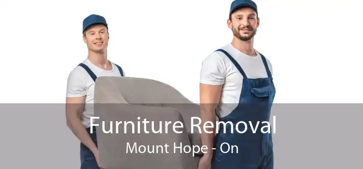 Furniture Removal Mount Hope - On