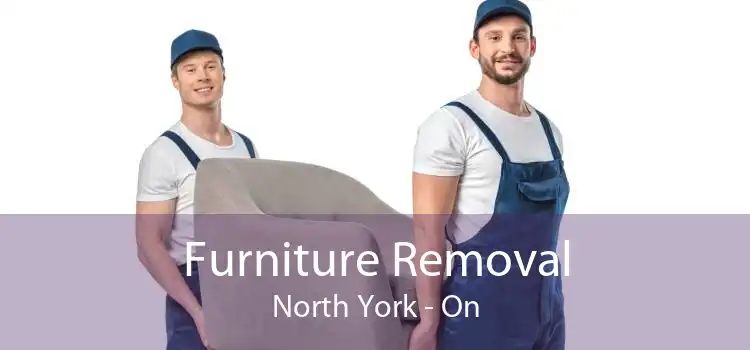 Furniture Removal North York - On