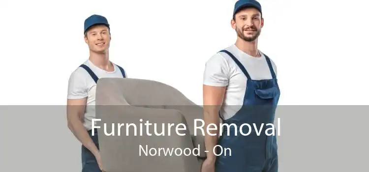 Furniture Removal Norwood - On