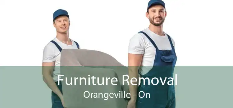 Furniture Removal Orangeville - On