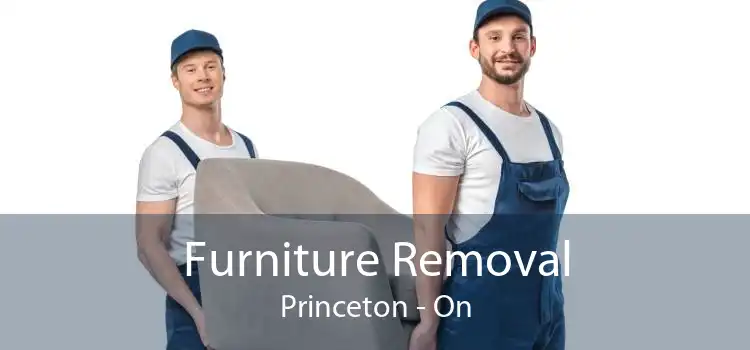 Furniture Removal Princeton - On
