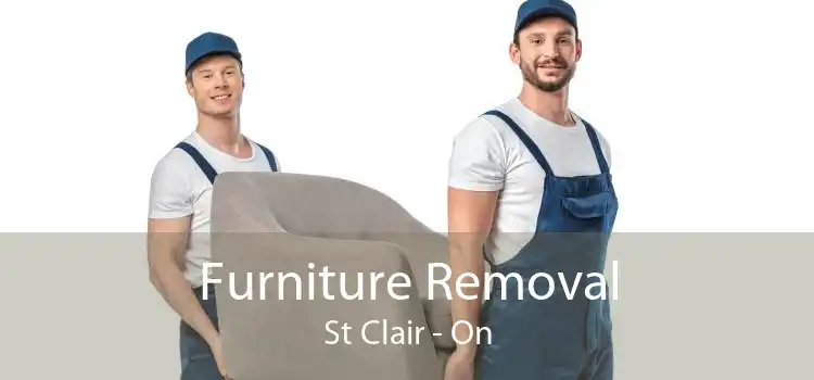 Furniture Removal St Clair - On