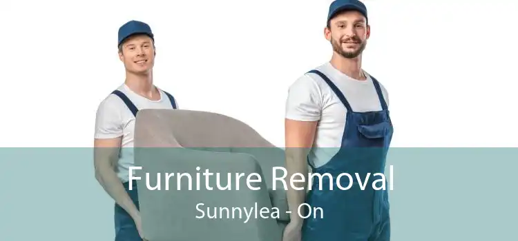 Furniture Removal Sunnylea - On