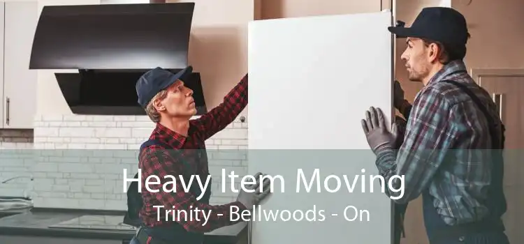 Heavy Item Moving Trinity - Bellwoods - On