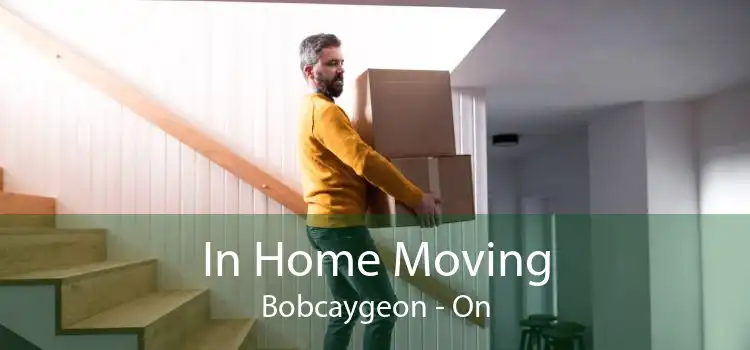 In Home Moving Bobcaygeon - On
