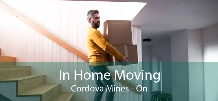 In Home Moving Cordova Mines - On