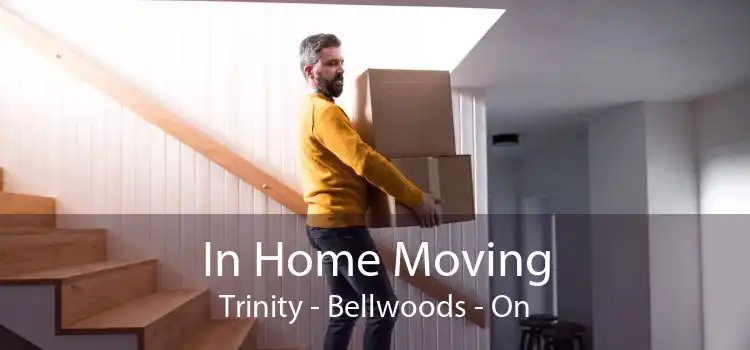 In Home Moving Trinity Bellwoods - On