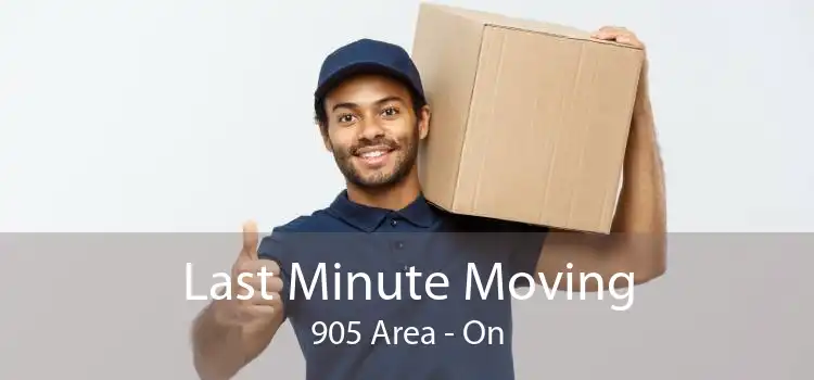 Last Minute Moving 905 Area - On