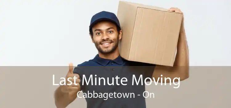 Last Minute Moving Cabbagetown - On