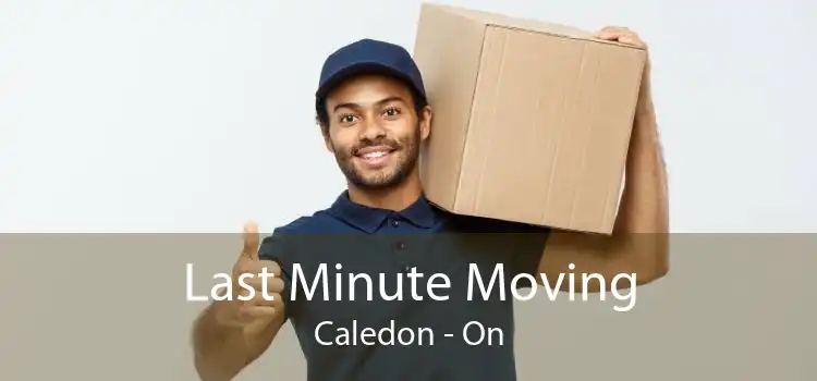Last Minute Moving Caledon - On