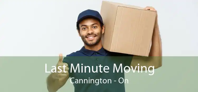 Last Minute Moving Cannington - On