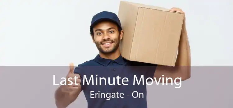 Last Minute Moving Eringate - On