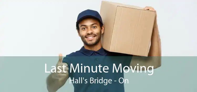 Last Minute Moving Hall's Bridge - On