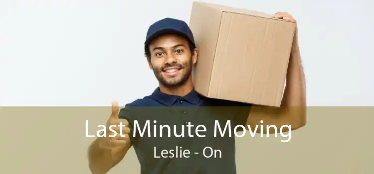 Last Minute Moving Leslie - On