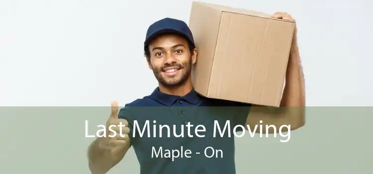 Last Minute Moving Maple - On