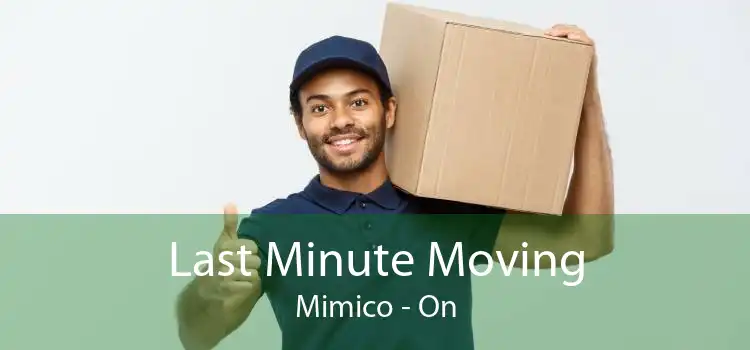 Last Minute Moving Mimico - On