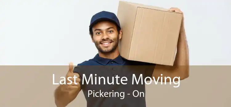 Last Minute Moving Pickering - On