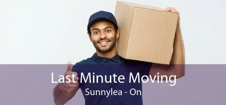 Last Minute Moving Sunnylea - On