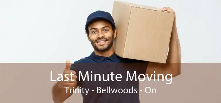 Last Minute Moving Trinity - Bellwoods - On