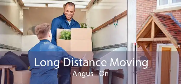 Long Distance Moving Angus - On
