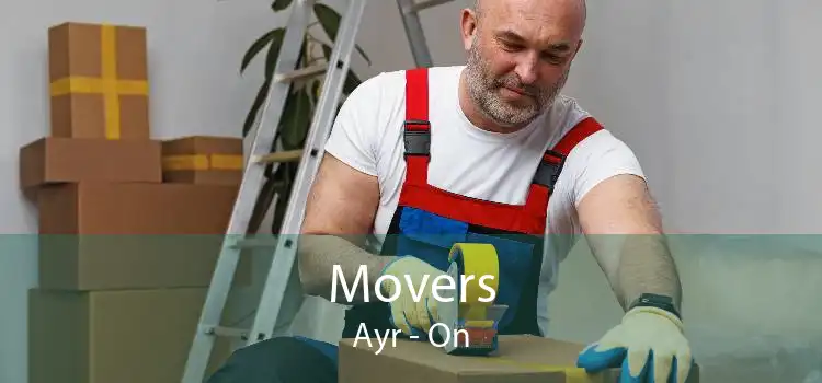 Movers Ayr - On