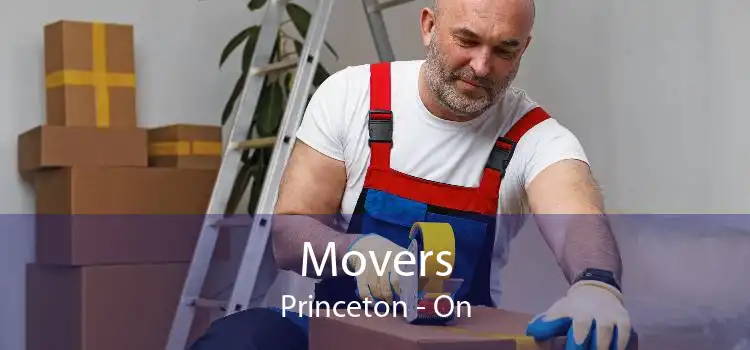Movers Princeton - On
